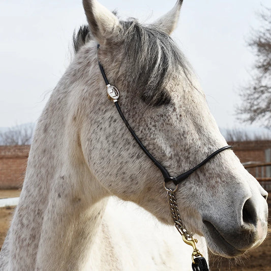 Durable Horse Bridle Rein Halter Headstall Harness